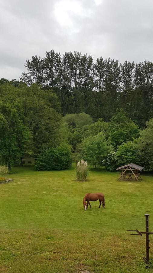 Chambres D'Hotes La Baudriere Livaie Eksteriør billede